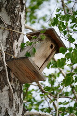 wooden bird house