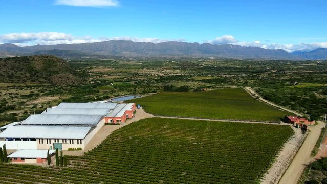 Aerial shot drone slowly descending on vineyard and bodega on partly cloudy day