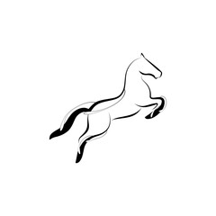 Horse vector illustration
