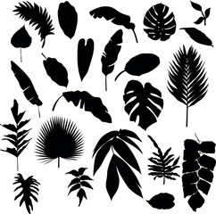 Plants and Leaves Silhouette Set