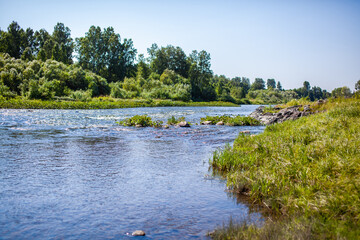 fast-flowing wide and full-flowing mountain river. the shore is visible against the background of a beautiful forest. Big mountain river 