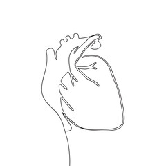 Human heart art. One line continuous heart. Line art outline organ vector illustration.