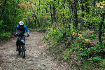 Obraz premium cyclist rides on the road in the forest sport