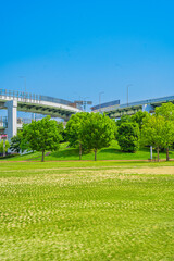 Fototapeta premium 公園と高速道路