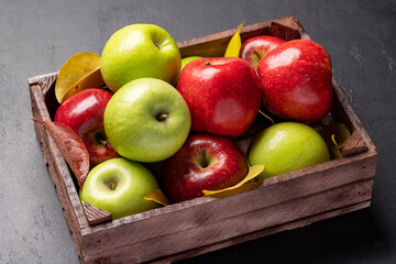 Red and green garden apples