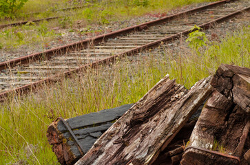 chemin de fer abandonné - rails rouillés au milieu de la végétation - vieilles traverse en...