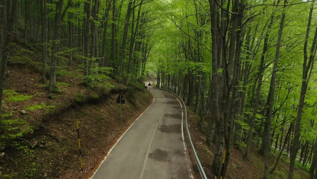 Forest road on the Abruzzo mountains 4K drone