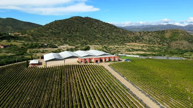 Aerial shot drone orbits to the left around vineyard and brick bodega with bus in front