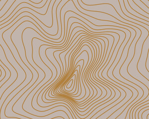 Abstract topographic contours map background. circular topography. Abstract vector illustration.
