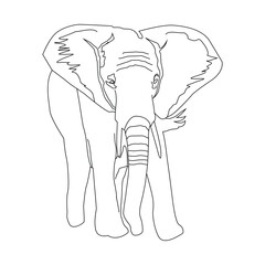 Elephant walking line art vector illustration, elephant line art vector