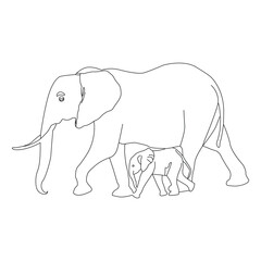 Elephant With Child Baby Line Vector Illustration, Elephant flat vector illustration