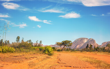 Naklejka premium Red dust and mud road, small bushes and trees on sides and mountains - Andringitra massif - in background, typical scenery near Ambalavao