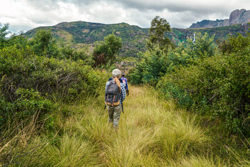 Young woman in hiking clothes walking in grass, small bushes near mountains background - typical scenery seen during trek Andringitra, Madagascar