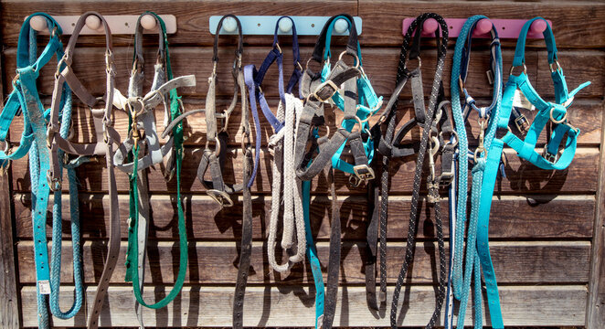 Equipment for equestrian sport placed in the stables