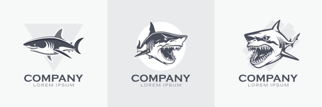 Shark Logo Set. Premium Vector Design Illustration.