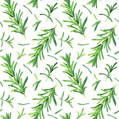 Watercolor seamless pattern with rosemary herb. Botanical illustration isolated on white for wrapping, wallpaper, fabric