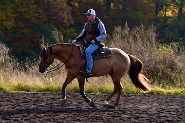 Westernreiten