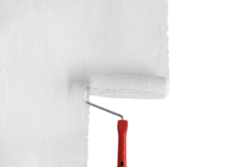 Painting a Wall by Roller