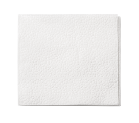white napkin isolated
