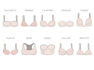 Types of women's bra with various print. Illustration on transparent background - obrazy, fototapety, plakaty
