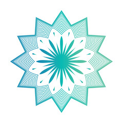 Beautiful  arabesque pattern Mandala Design  background  vector template