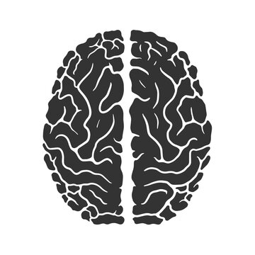 Human brain icon. Illustration on transparent background