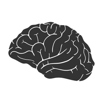 Human brain icon. Illustration on transparent background