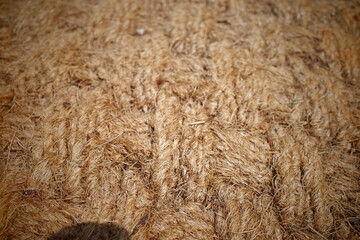 fur texture background