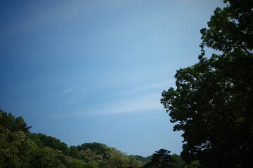 Fototapeta premium sky