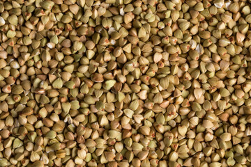 organic bio buckwheat
