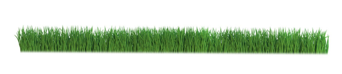Fresh spring green grass isolated. Png transparency