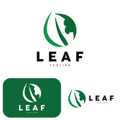 Green Leaf Logo, Ecology Natural Plant Vector, Nature Design, Illustration Template Icon