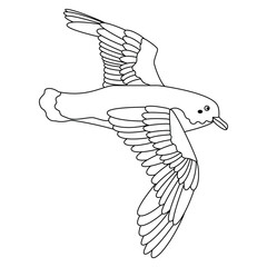 Cute, cartoon petrel bird. Line art.