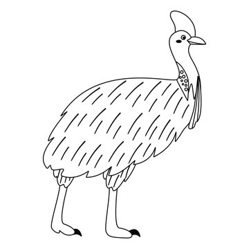 recommend clip art: Cute, cartoon cassowary bird. Line art.