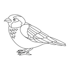 Cute, cartoon sparrow bird. Line art.