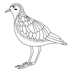 Cute, cartoon plover bird. Line art.