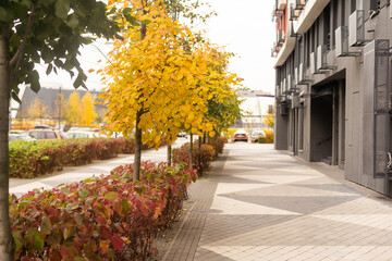 Streets of the city in autumn.