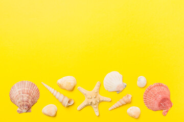 Fototapeta premium Sea shells on color background, top view