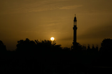 Tramonto del sole in Egitto, dietro le palme e un minareto