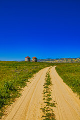 Exploring the Carrizo Plain super bloom and abandoned farms