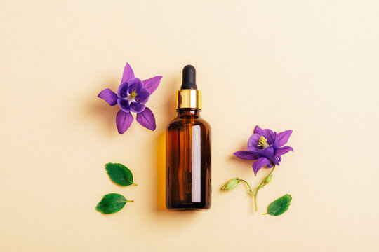 Brown cosmetic serum dropper bottle and beautiful purple Aquilegia Alpina flowers on neutral beige background. Top view, flat lay, copy space