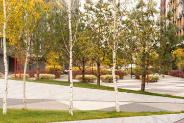 Autumn avenue in city park.