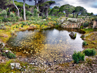 Charcos en El Piquillo