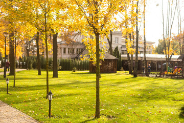 Autumn alley in the park. Alley road in autumn.
