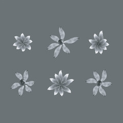 Set of 6 black and white, grayscale Watercolor flower illustration icons, simple beautiful composition of decorative elements, isolated on grey background, hand drawing.