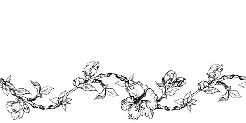 Fototapeta premium Hand drawn ink apple flowers, branches and leaves, monochrome vector, detailed outline Seamless horizontal banner Isolated on white background Design for wall art, wedding, print, fabric, cover, card.