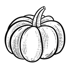 Hand drawn black sign pumpkin sketch art illustration isolated