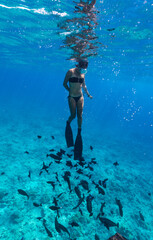 A young asian woman in bikini swims with fish in tropical blue water