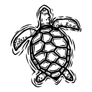 turtle woodcut design 