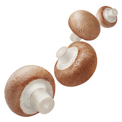 Flying delicious champignon mushrooms, cut out